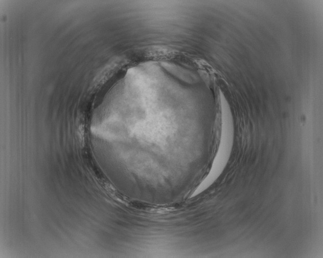 X0000067400716200604211659