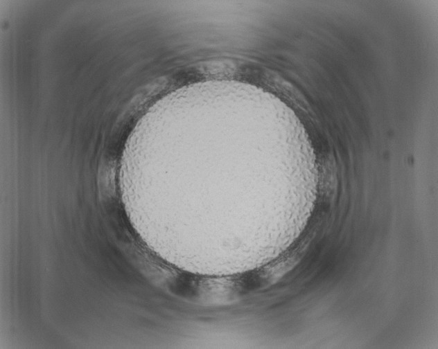 X0000067400717200604211659