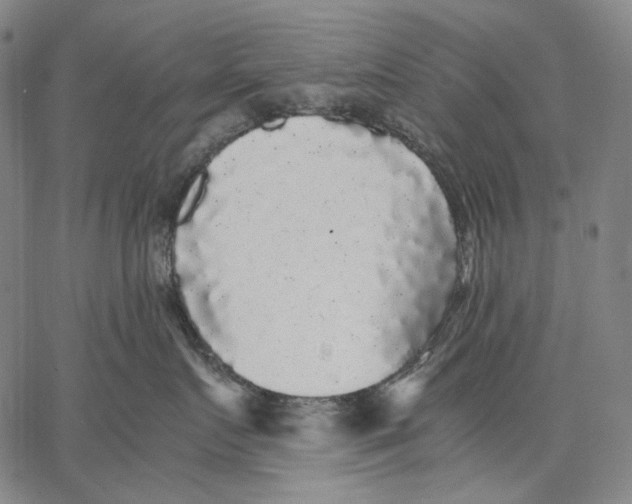 X0000067400719200604211659