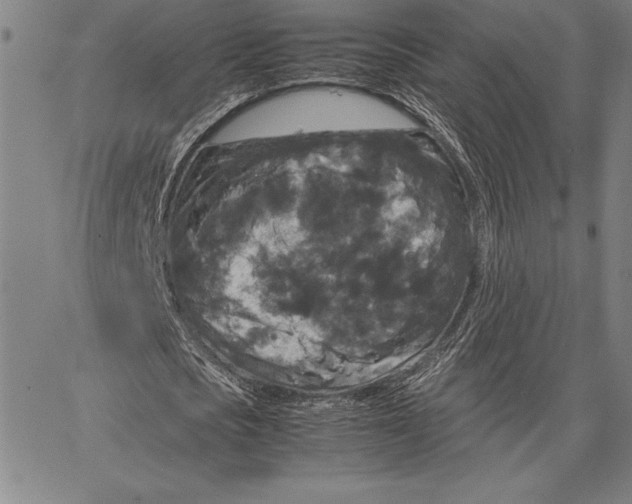X0000067400721200604211658