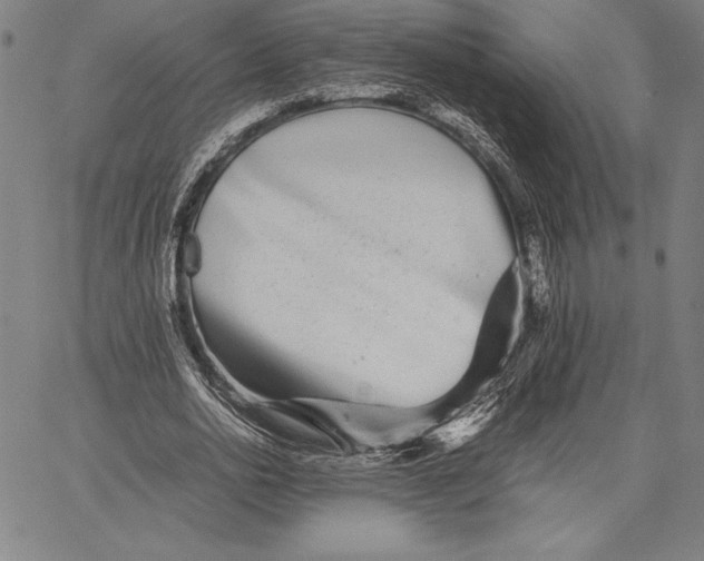 X0000067400726200604211658