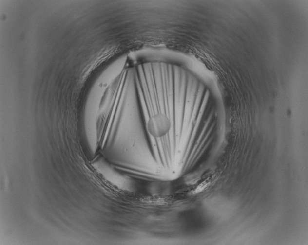 X0000067400735200604211658