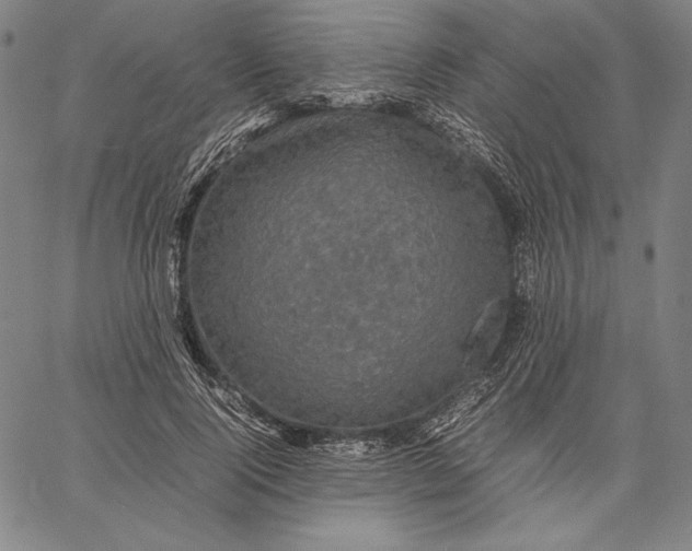 X0000067400740200604211658