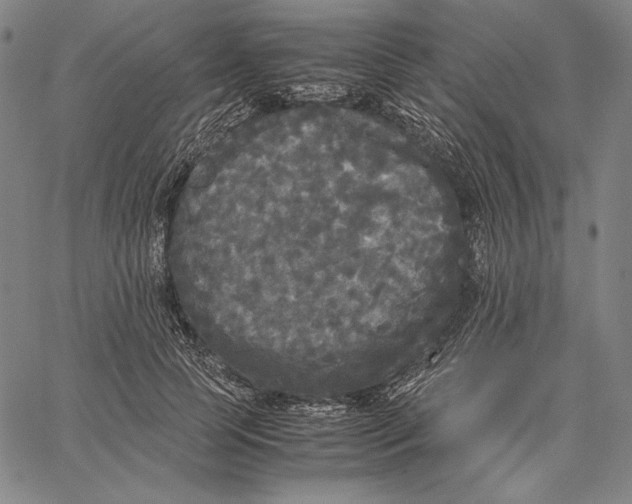 X0000067400745200604211658