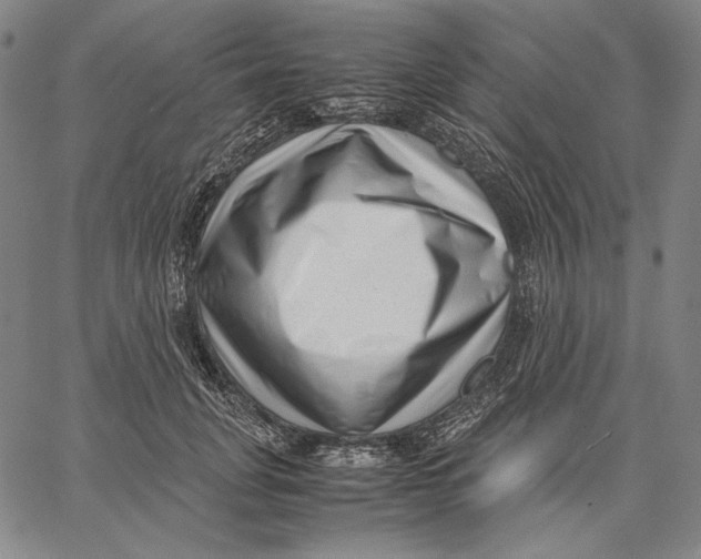 X0000067400751200604211658