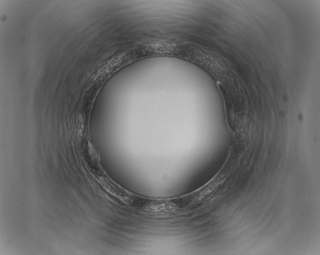 X0000067400752200604211658