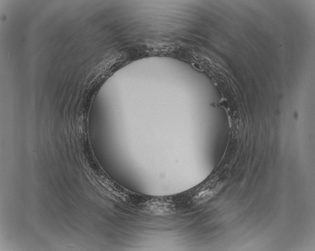 X0000067400756200604211659