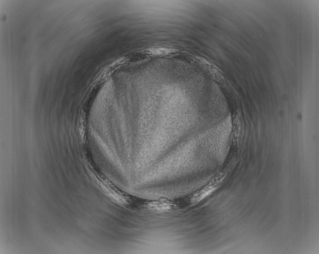 X0000067400762200604211659