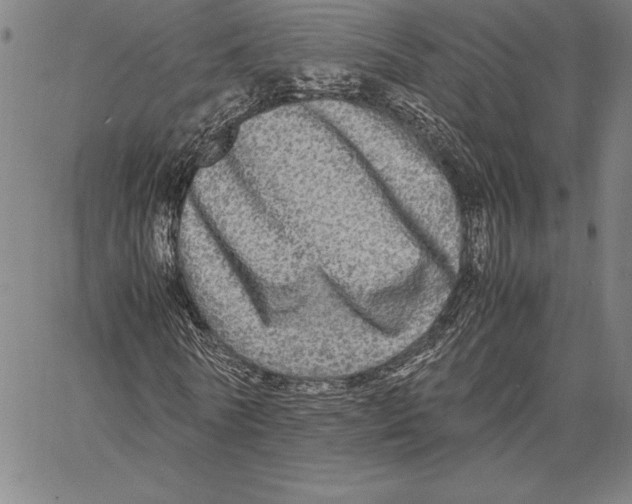 X0000067400770200604211658