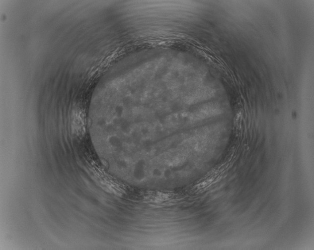 X0000067400772200604211658