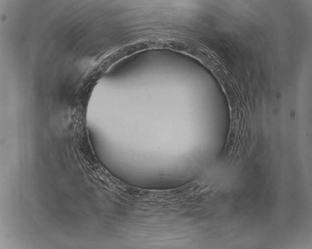 X0000067400773200604211658