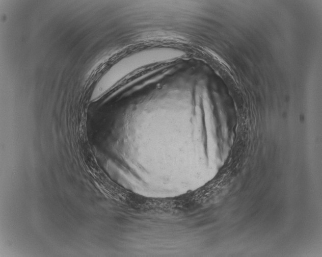 X0000067400775200604211658