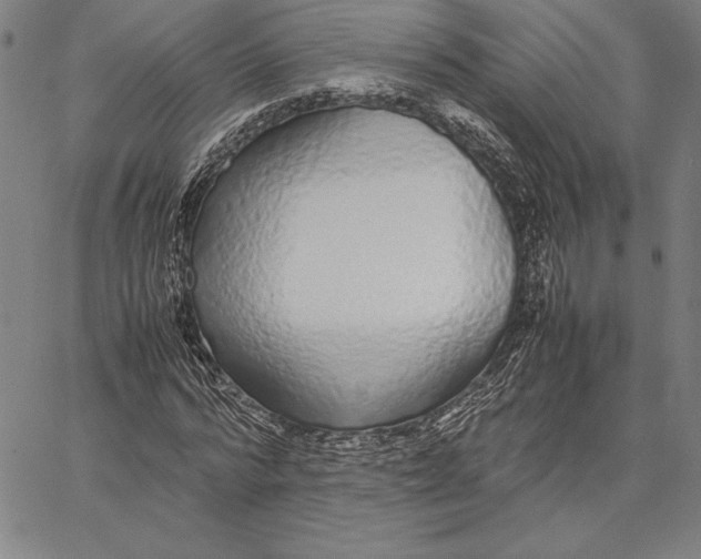 X0000067400776200604211658
