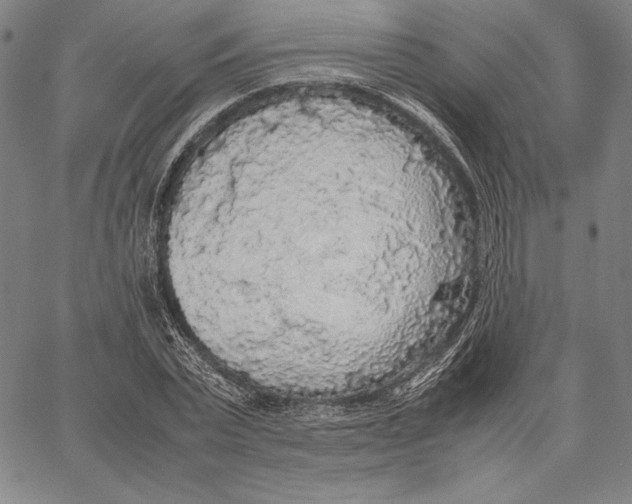 X0000067400783200604211658