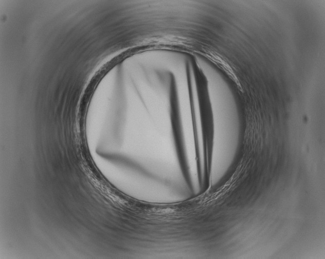 X0000067400784200604211658