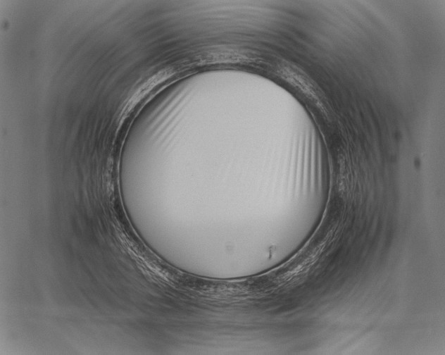 X0000067400786200604211658