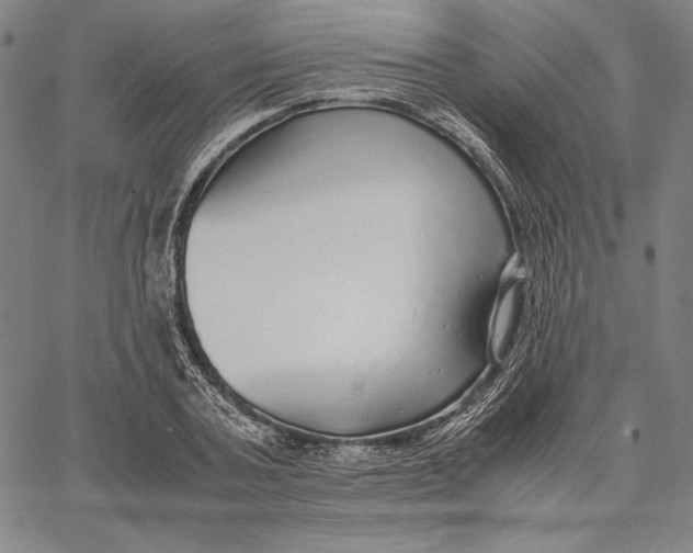 X0000067400787200604211658