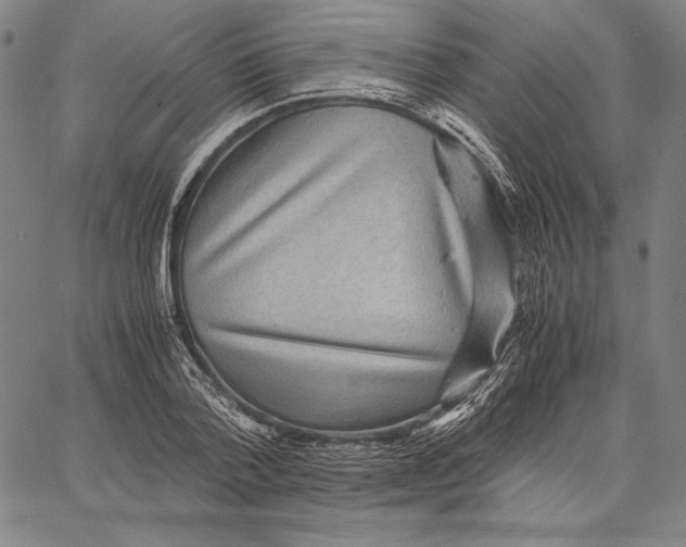 X0000067400788200604211658
