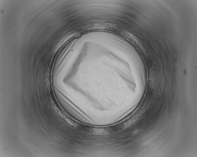 X0000067400794200604211658