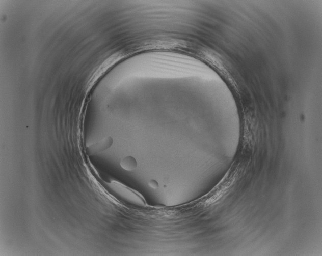 X0000067400802200604211657