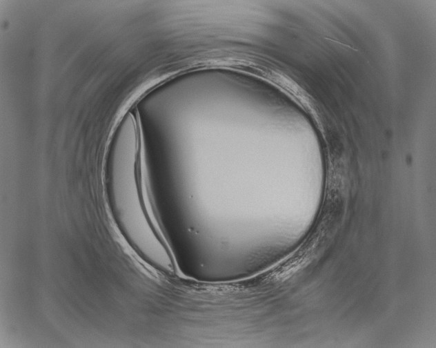 X0000067400803200604211657