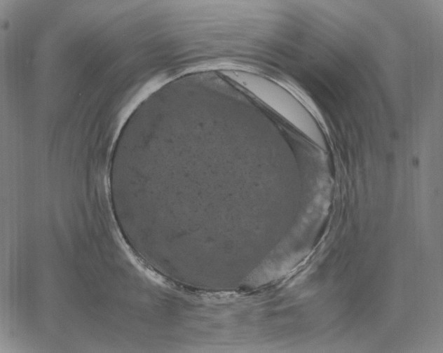 X0000067400813200604211657