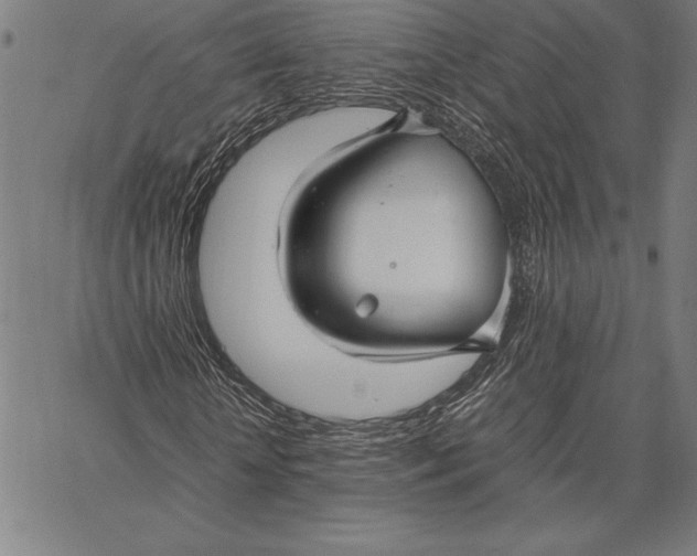 X0000067400818200604211656