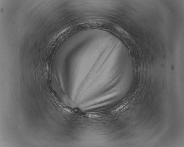 X0000067400822200604211656