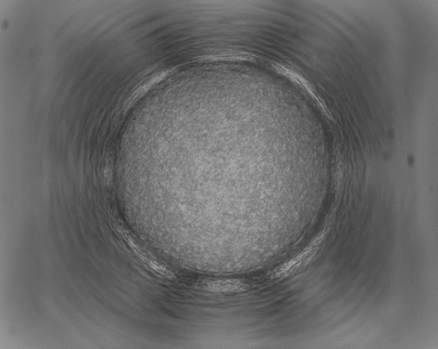 X0000067400833200604211657
