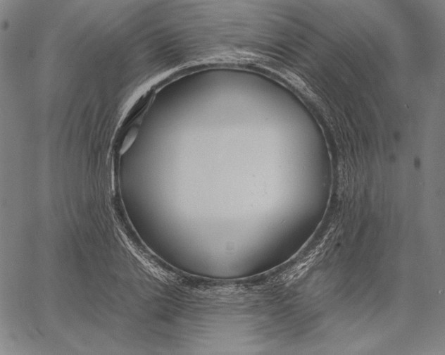 X0000067400838200604211657