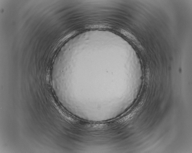 X0000067400841200604211657
