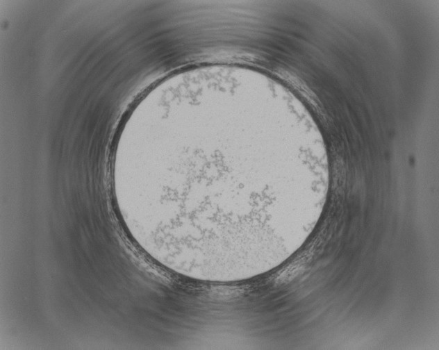 X0000067400848200604211657
