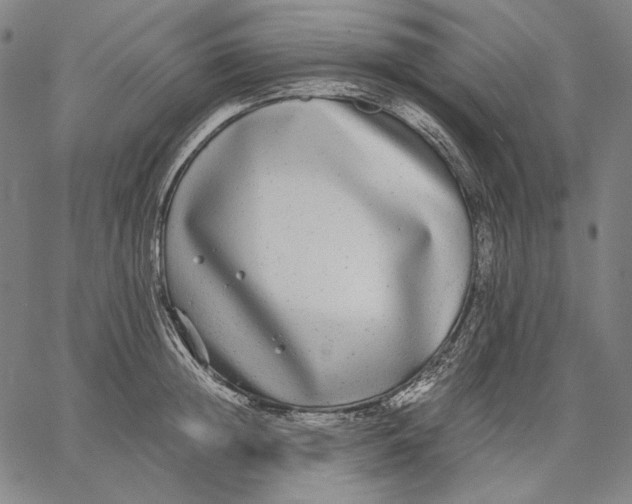 X0000067400852200604211657