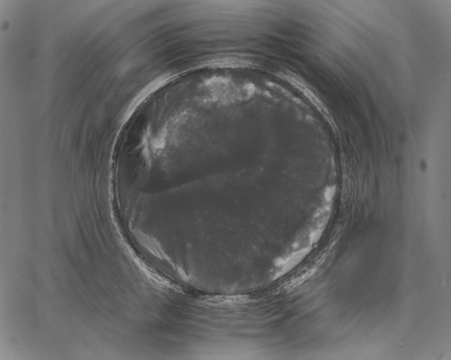 X0000067400853200604211657