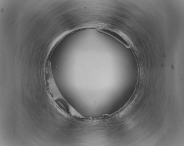 X0000067400854200604211657