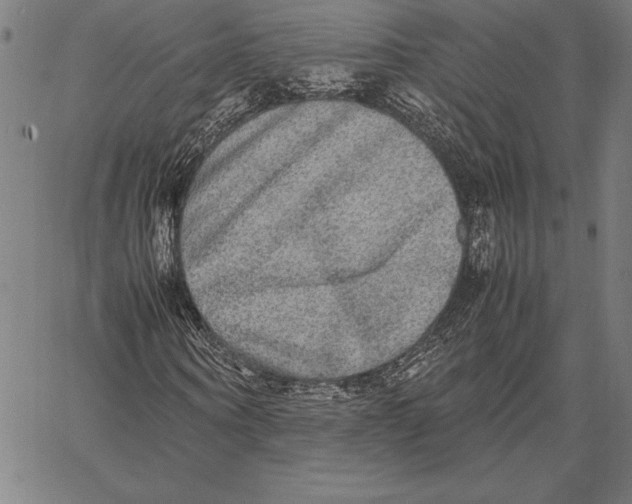 X0000067400866200604211656