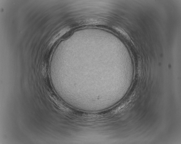 X0000067400873200604211656