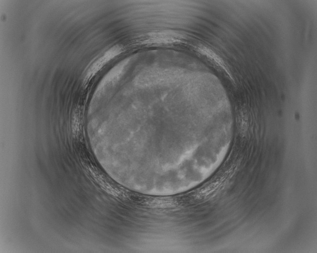 X0000067400874200604211656