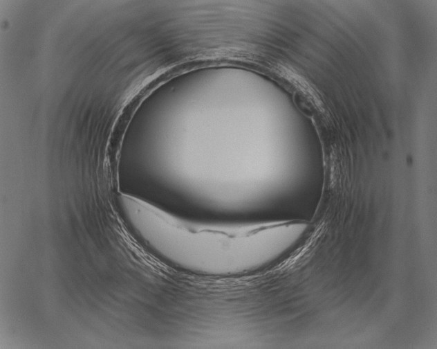 X0000067400876200604211656
