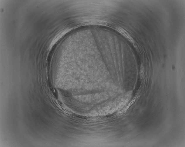 X0000067400877200604211656