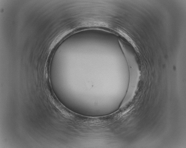X0000067400885200604211656