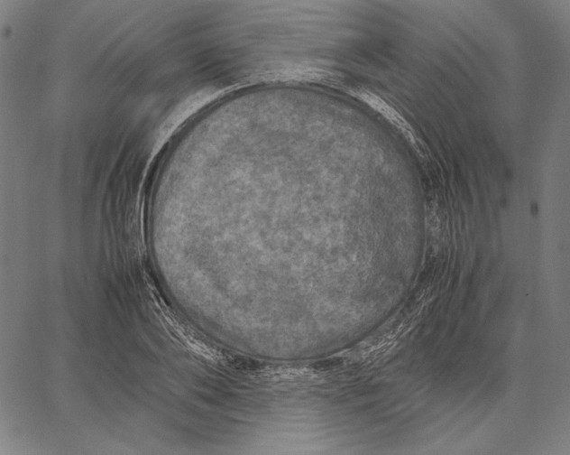 X0000067400886200604211656