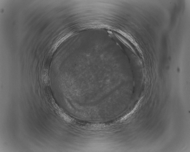 X0000067400889200604211656