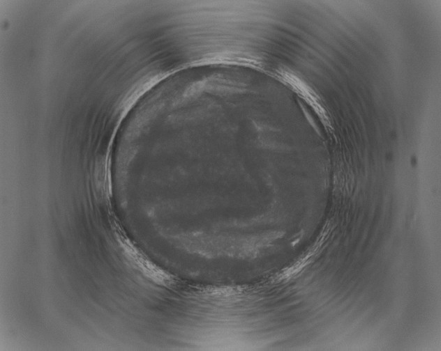 X0000067400892200604211656