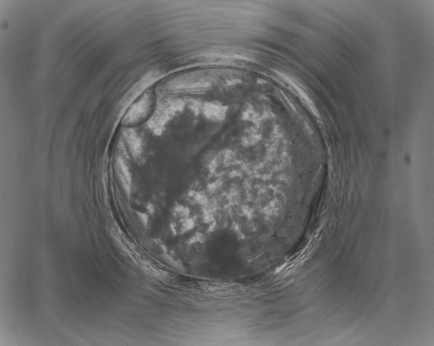 X0000067400899200604211656