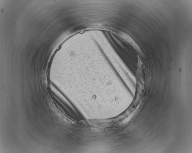 X0000067400908200604211656
