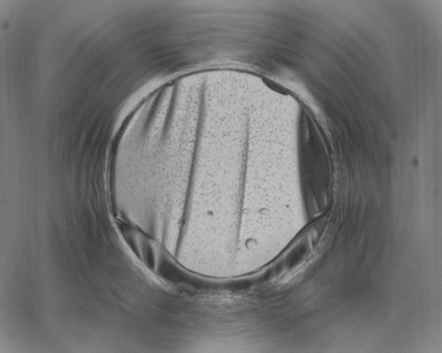 X0000067400910200604211656