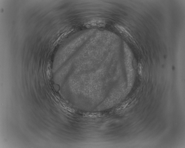 X0000067400915200604211655
