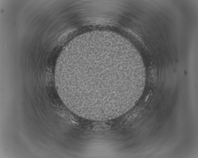 X0000067400918200604211655