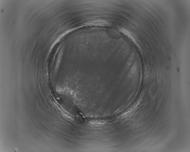 X0000067400923200604211655